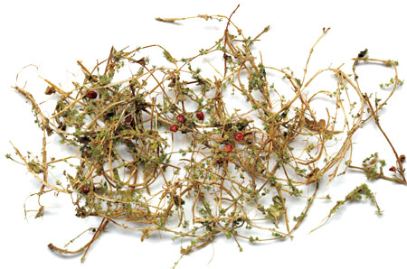 ����� | �ٷ���վ