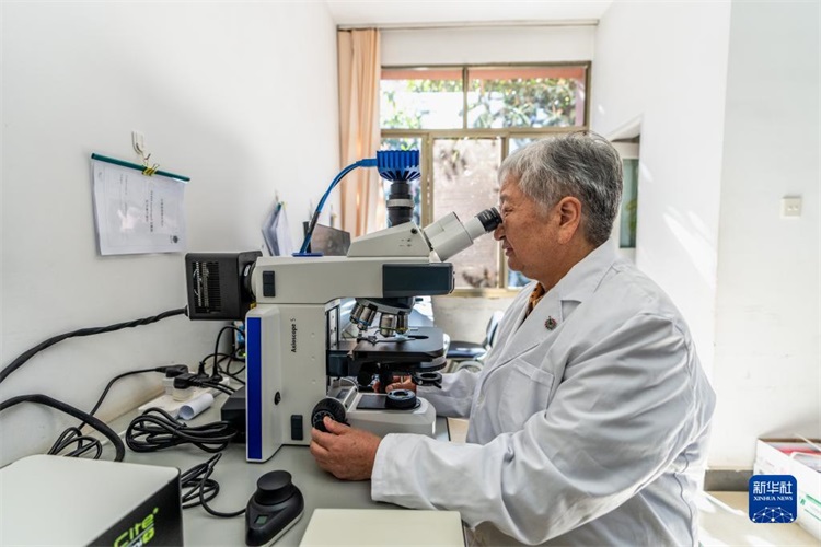 ����� | �ٷ���վ