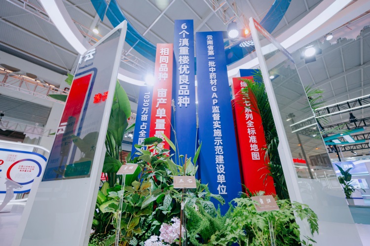 ����� | �ٷ���վ