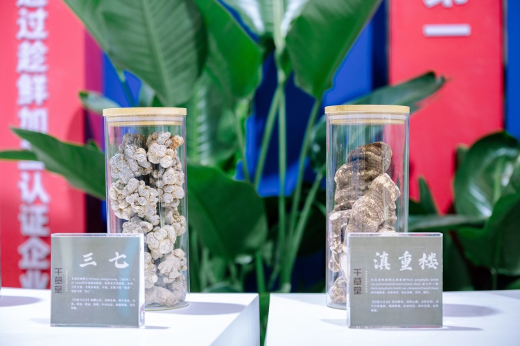 ����� | �ٷ���վ