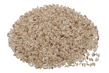 ����� | �ٷ���վ