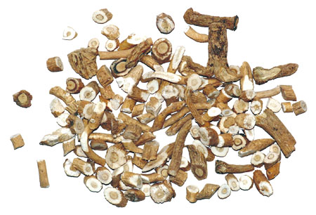 ����� | �ٷ���վ