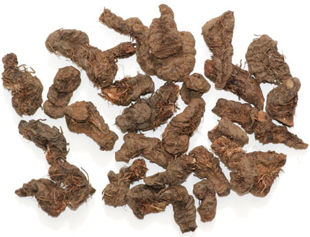 ����� | �ٷ���վ