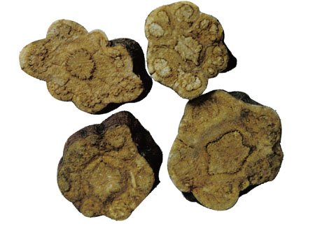 ����� | �ٷ���վ