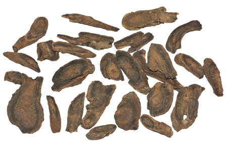 ����� | �ٷ���վ