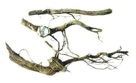 ����� | �ٷ���վ